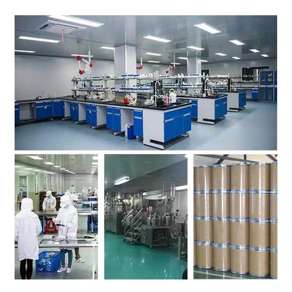 Китай Shaanxi Baisifu Biological Engineering Co., Ltd. Профиль компании