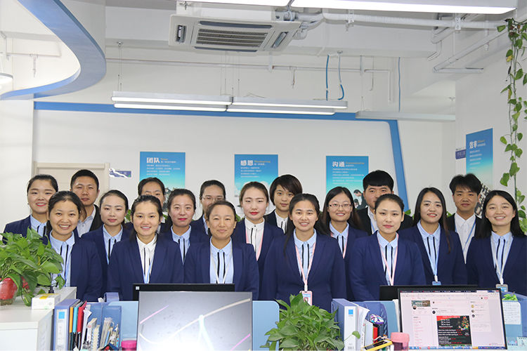 Китай Shaanxi Baisifu Biological Engineering Co., Ltd. Профиль компании