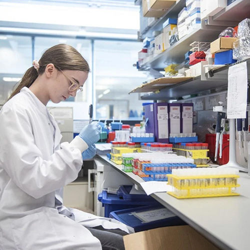 Shaanxi Baisifu Biological Engineering Co., Ltd. производственная линия завода