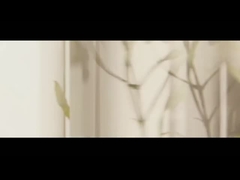 Эфирное масло чайного дерева Масло лаванды Масло мяты масла камфора масла мозга розы эфирное масло эвка