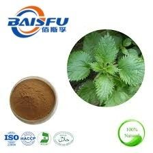 Baisfu plant Specifications 98% Nettle root extract Hot Selling - Get Your Favorite Price Here With Low MOQ use in food additive and cosmetic