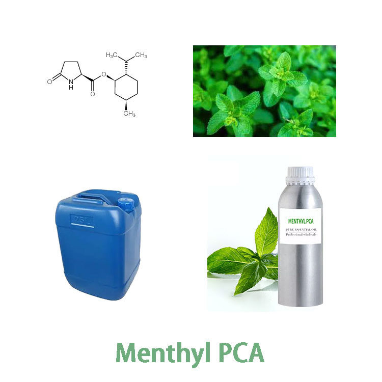 Cosmetic Grade Menthyl PCA CAS 64519-44-4 Natural Moisturizing Factor