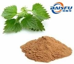 Baisfu plant Specifications 98% Nettle root extract Hot Selling - Get Your Favorite Price Here With Low MOQ use in food additive and cosmetic