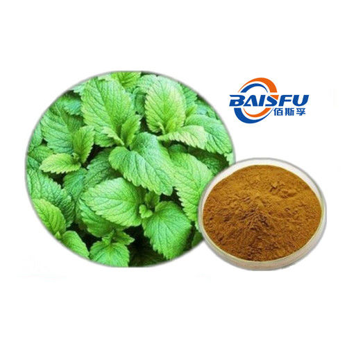 Baisfu Brown Fine Powder Hot Sale natural Lemon Balm P.E., Pure Lemon Balm P.E. powder use in cosmetic and food，beverage