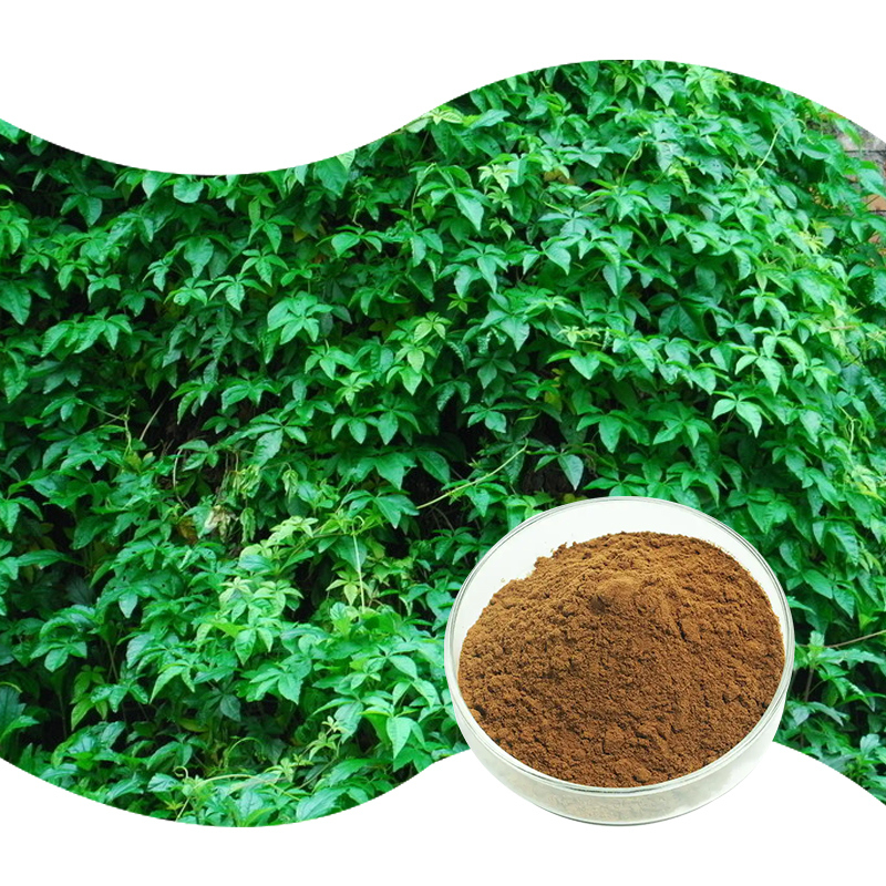 Baisfu plant extract powder Natural Sinomenium Acutum Extract 98% Sinomenine hcl  Sinomenine actum Rhd Extract Sinomenine CAS 115-53-7 used in health care products