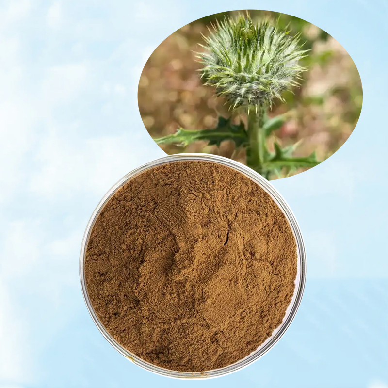 Baisfu plant extract Brown fine powder American Tribulus Terrestris P.E total saponins content 20%-90% used in food additives