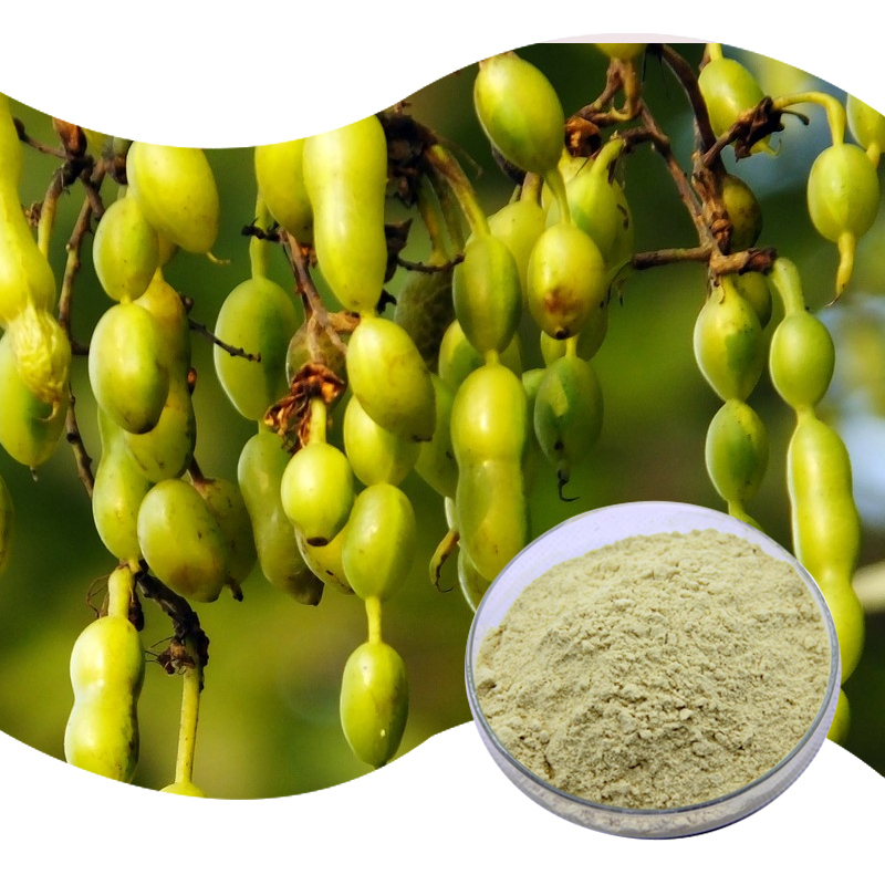 Baisfu plant extract yellow powder 98% Best Quality Of Kaempferol flavonoids compounds CAS 520-18-3 used in Food and skin care product