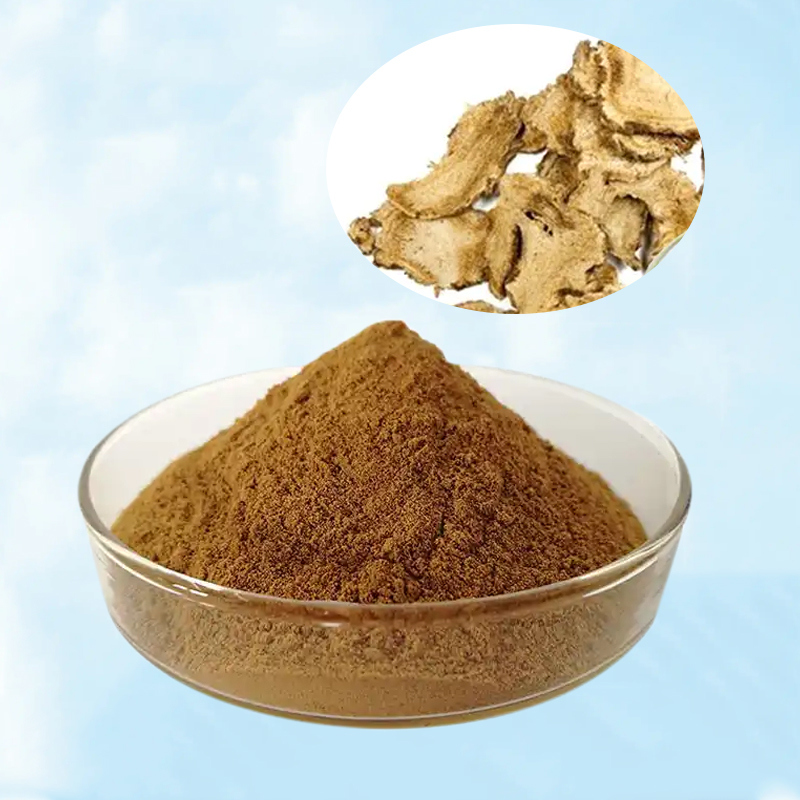 Baisfu Pure natural plant extract Yellowish-brown Powder Radix Angelicae Pubescentis P.E. Root 10:1 use in medicine