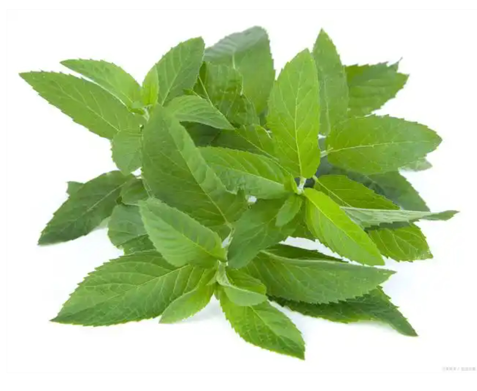 Factory direct sales of menthol, food-grade needle-shaped oil-soluble menthol for long-lasting cooling