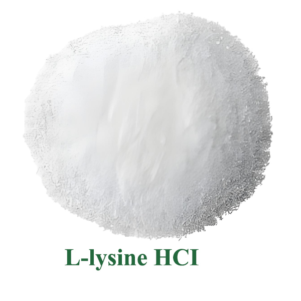 Baisifu 99% L-Lysine Hydrochloride Food Additive Nutritional Fortifier