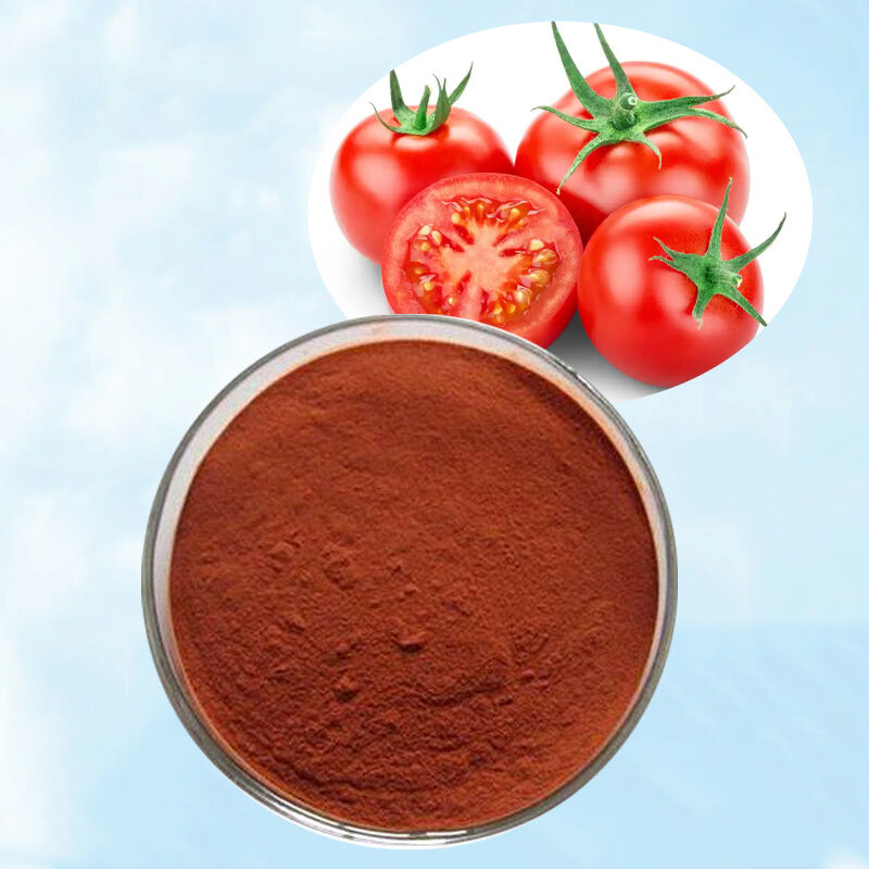 Baisfu Best Quality Lycopene Extract Powder Dark Red Fine Powder for Health Supplements and Natural Colorant