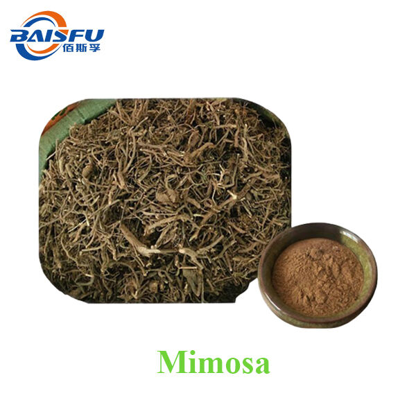 Baisfu Factory Sales Mimosa Extract Powder Brown Yellow Fine Powder for Health Supplements and Medicine