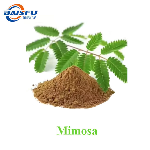 Mimosa Extract Natural Botanical Ingredient Powder 99.0% ~ 99.5% Assay For Food Beverage Cosmetic & Fragrance Applications