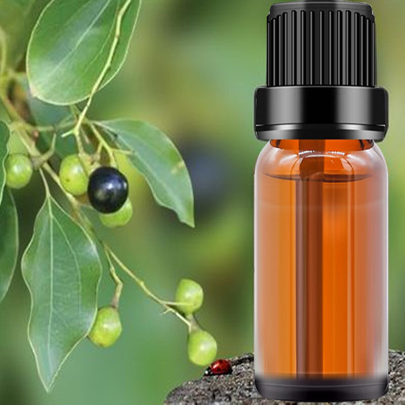 Baisfu Factory Hot Sales Camphor Oil CAS 8008-51-3 Best Quality Light Yellow Oily Liquid for Spices and Cosmetic Raw Materials