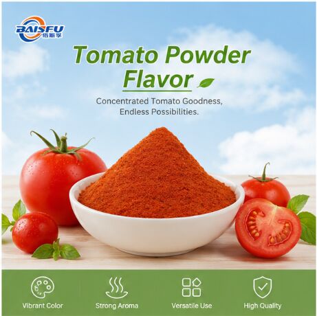 Premium High Quality Tomato Powder Flavor for Extruded Snack Seasoning Potato Chip Coating Popcorn Dusting and Savory Puff Sprinkle