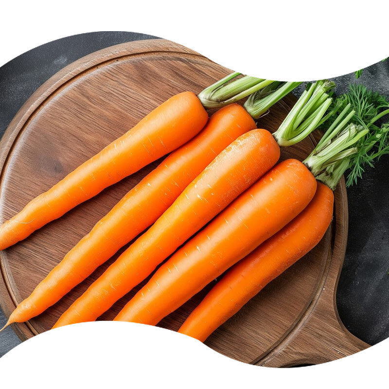 Natural Carrot Powder Flavor for Instant Soup Mix Creamy Carrot Broth and Vegetable Bouillon Powder