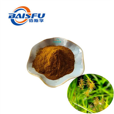 Baisfu pure Natural Nutgrass Galingale Rhizome Extract Brown fine Powder Content 98% use in medicine and health care products
