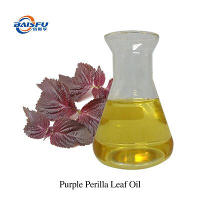 High Purity 99% Baisifu Purple Perilla Leaf Oil for Food Industry